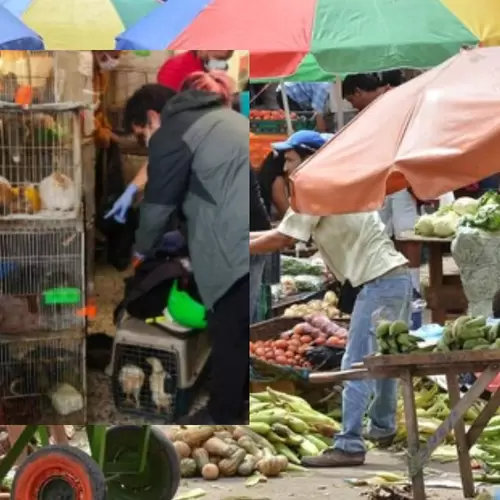 Referencia plaza de mercado