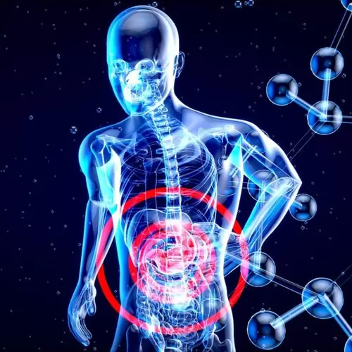 Diferencias entre metabolismo y digestión