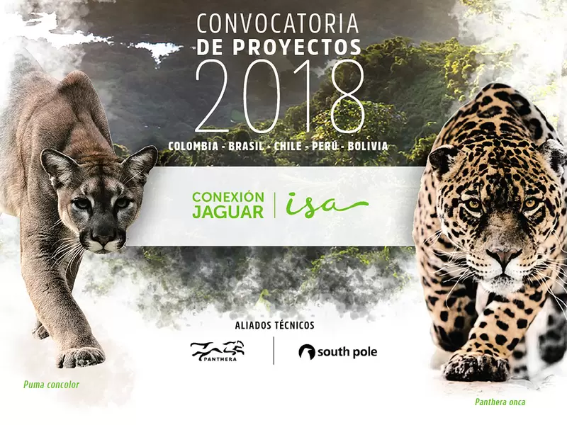 Convocatoria de proyectos forestales de Conexión Jaguar Convocatoria de proyectos forestales de Conexión Jaguar