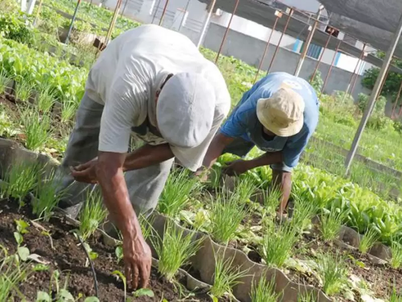 Agricultores