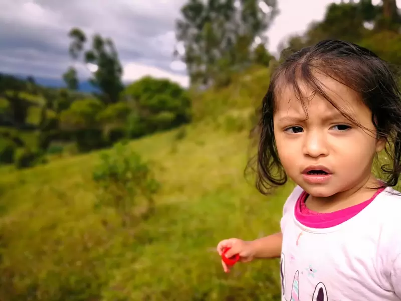 Niña en pradera (foto referencial)