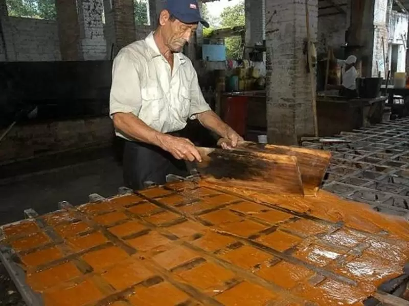 Panela