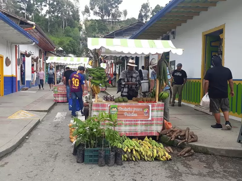 Mercado Agroecológico de Salento