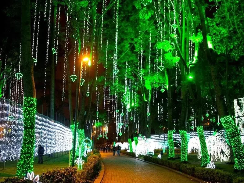 Disfrute así la navidad en Bogotá