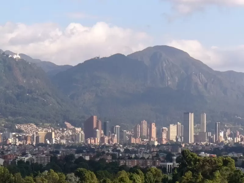 En Bogotá, alrededor de 500 árboles nativos fueron sembrados en los cerros orientales. Cerros orientales de Bogotá