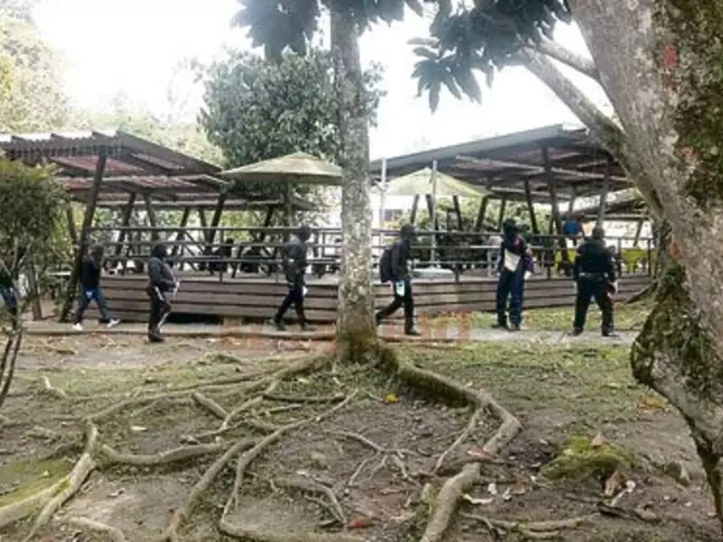 UTP