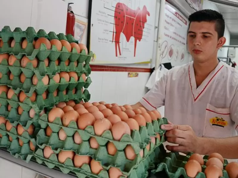 Comerciante de huevos