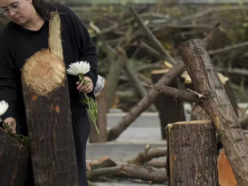 Protesta contra la deforestación, 12 de septiembre de 2018