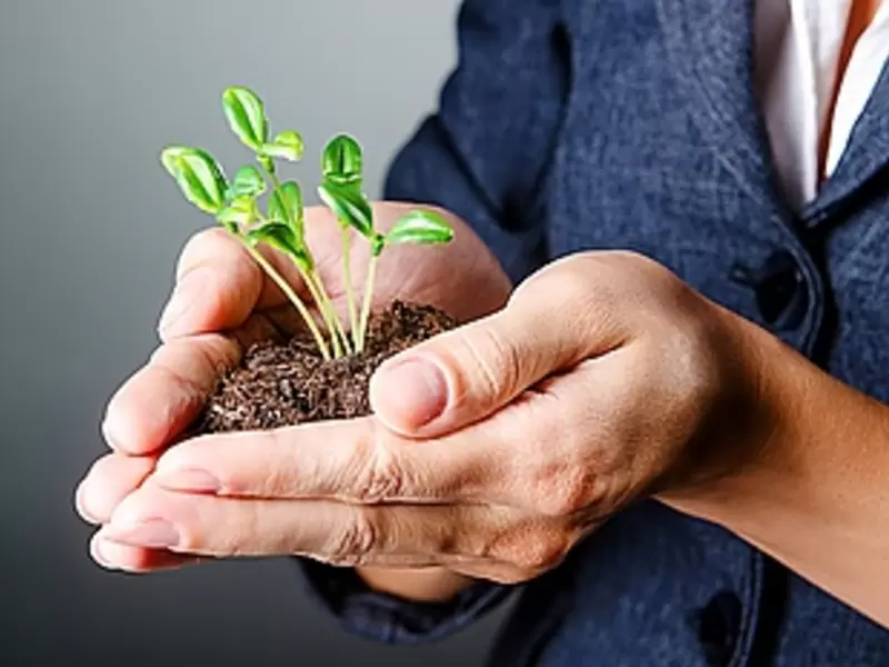 Siembra de Plantas - referencial