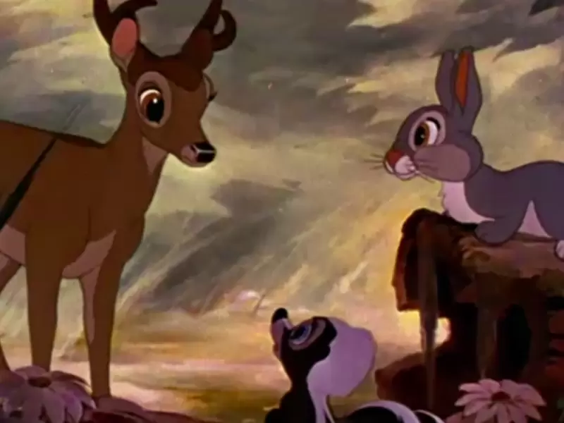Bambi Bambi