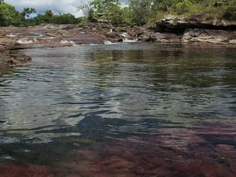 Caño Cristales Caño Cristales