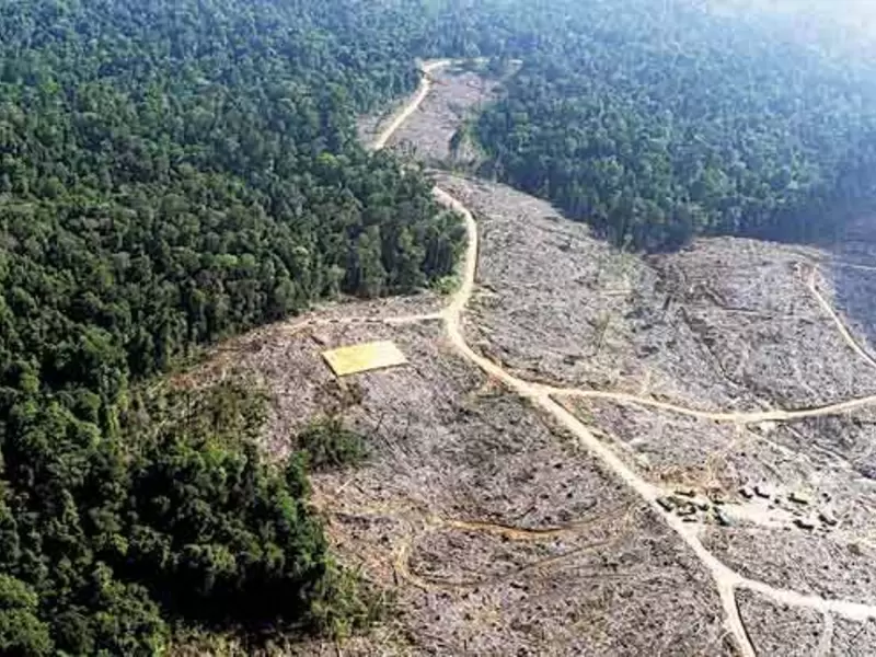 Protección ambiental