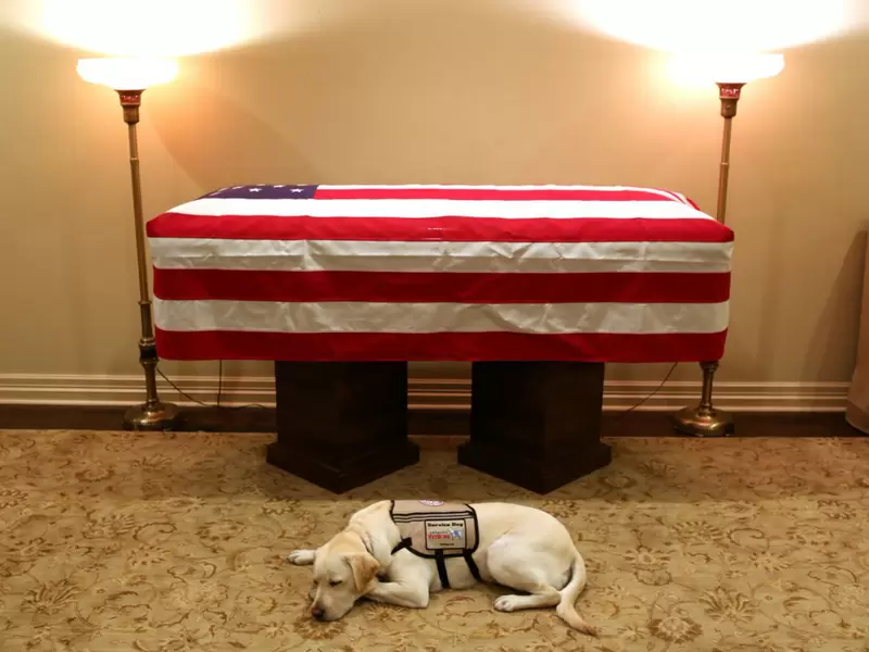 Sully, el perro de George H. W. Bush