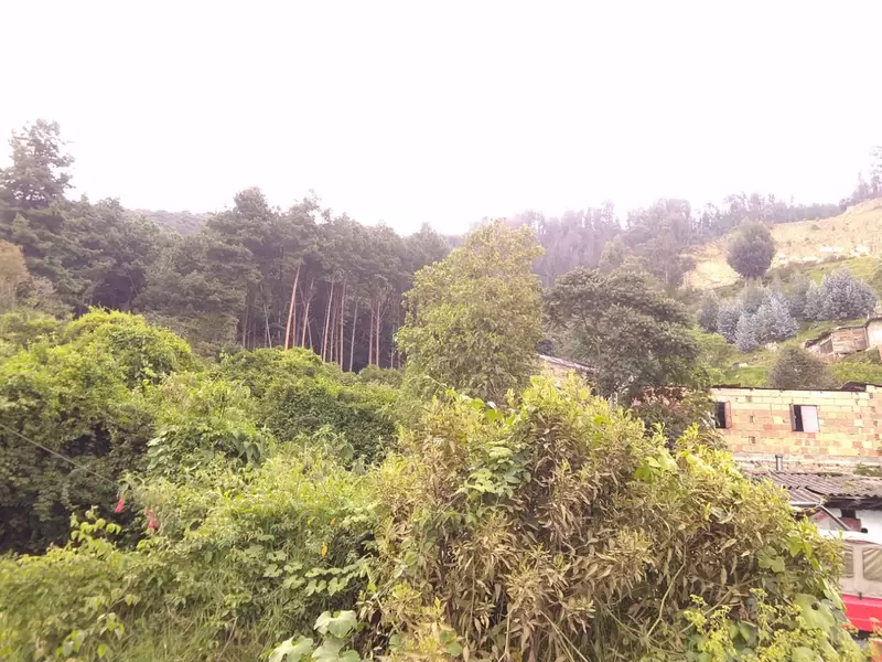 Cerros orientales de Bogotá.