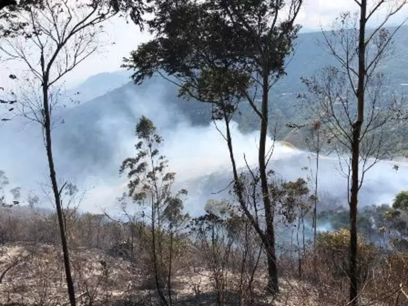 Poderoso incendio forestal consumió cerca de 50 hectáreas de vegetación al oeste de Cali