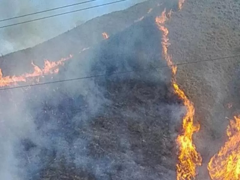 Imagen referencial de un incendio forestal Imagen referencial de un incendio forestal