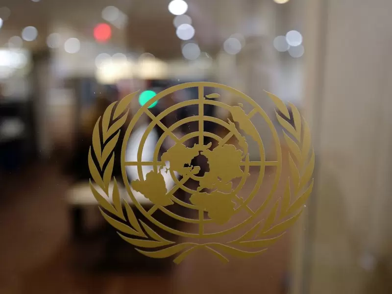 Organización de las Naciones Unidas (ONU)