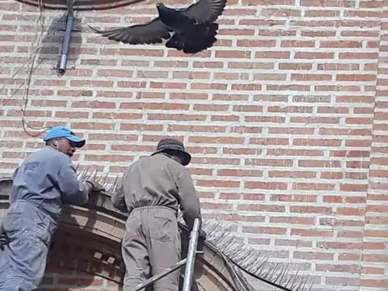 La comunidad registró el intento de inflación de los artefactos contra las palomas