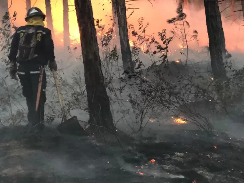 Un gigantesco incendio, ocasionado por pirómanos, se registra a esta hora en el cerro Quitasol de Bello