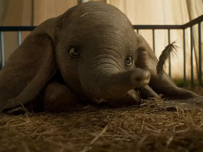 Dumbo, cinta de acción real Dumbo, cinta de acción real