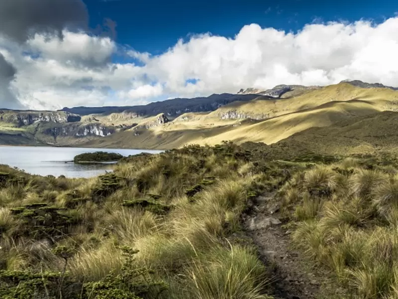 Imagen de referencia de Parques Naturales de Colombia Imagen de referencia de Parques Naturales de Colombia