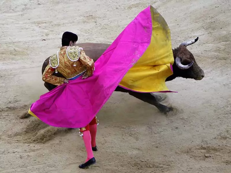 TOROS PLAZA SANTA MARIA CORRIDAS GENTE TAUROMAQUIA RUEDO