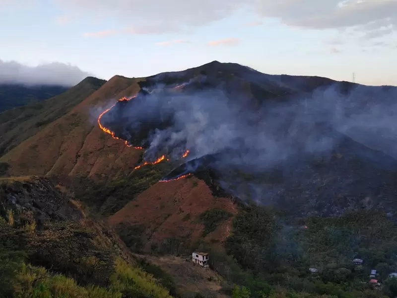 A la zona fueron enviadas dos máquinas extintoras, dos brigadas forestales, una ambulancia y una móvil de logística.