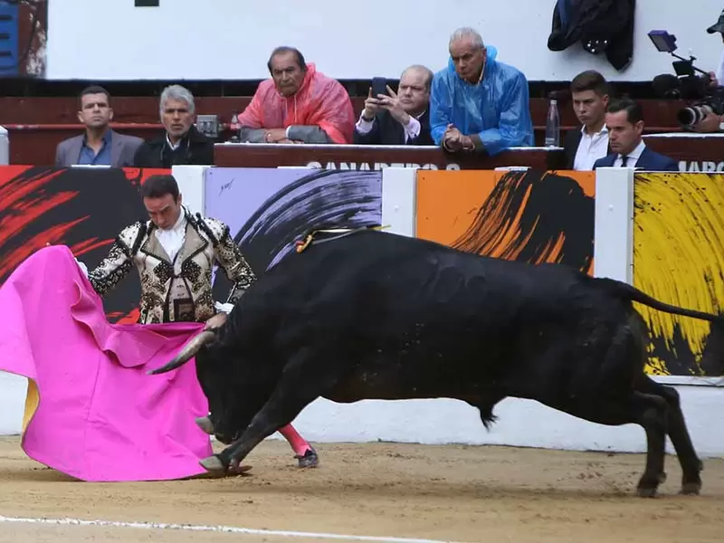 Toros RCN