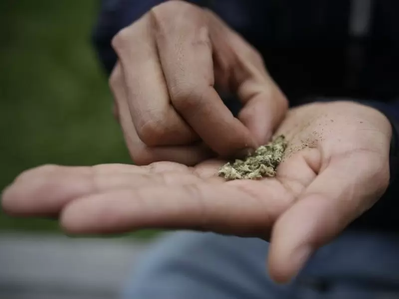 Marihuana Marihuana