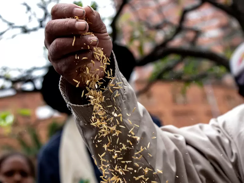 Se buscan salidas para aumentar la productividad y la generación de ingresos para el campo.