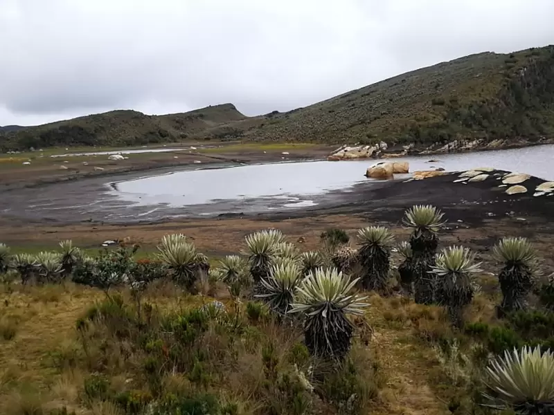 Sequía en la Laguna de los Tunjos, Páramo de Sumapaz