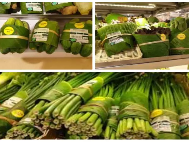 Plásticos
