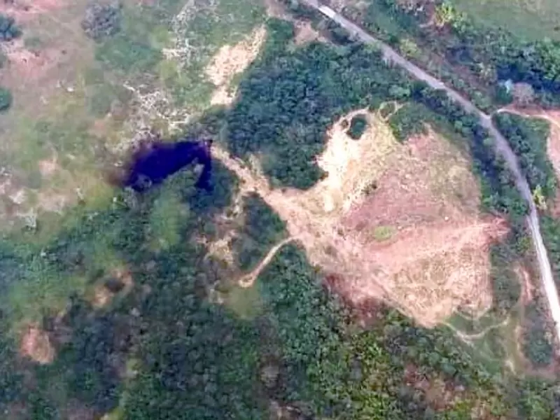 Atentado contra el oleoducto Caño Limón Coveñas en Arauquita