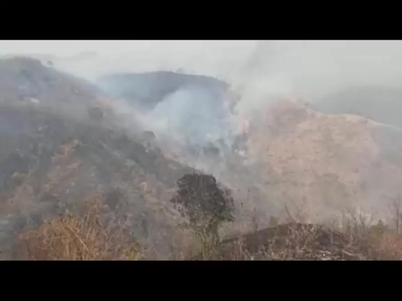 Incendio forestal en Fundación, Magdalena