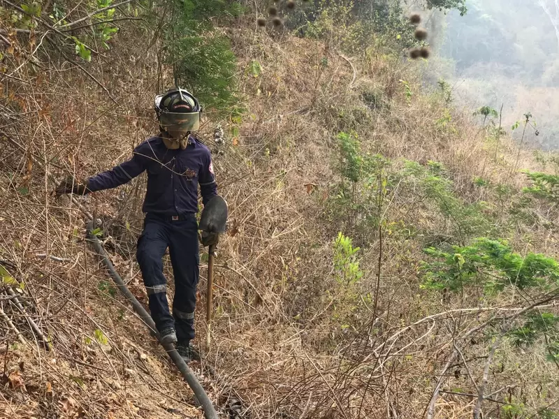 Incendio forestal en Santa Marta