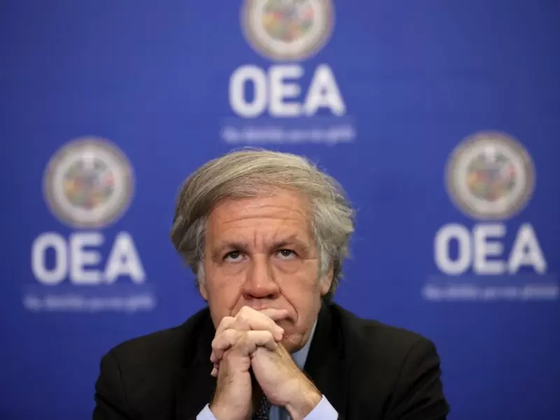 Luis Almagro, secretario general de la OEA.