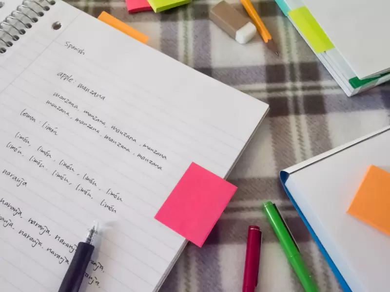 Ortografía escritura