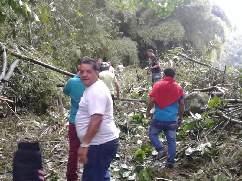 Matanza, Santander.