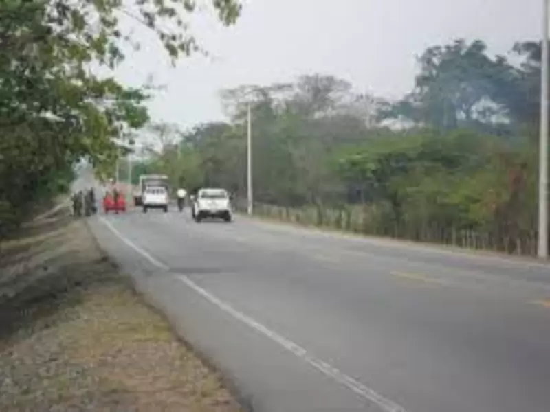 Foto de referencia.