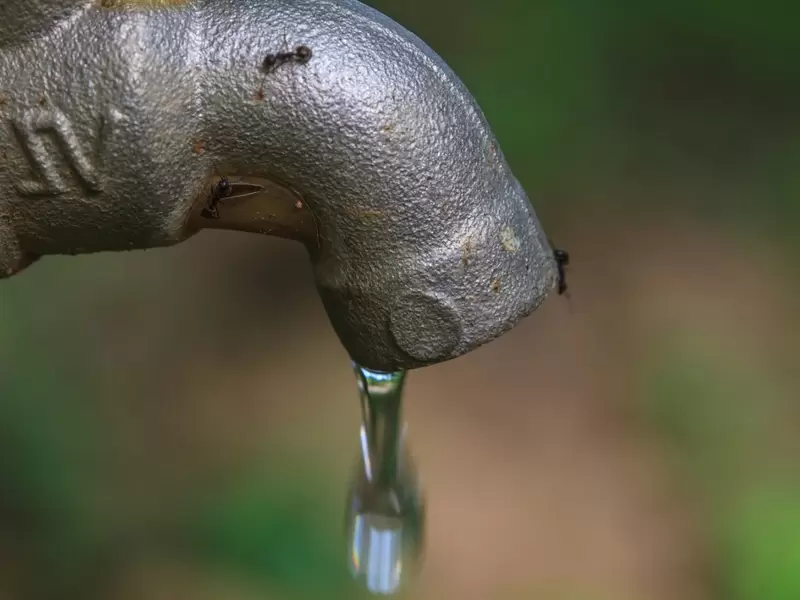 Grifo para agua