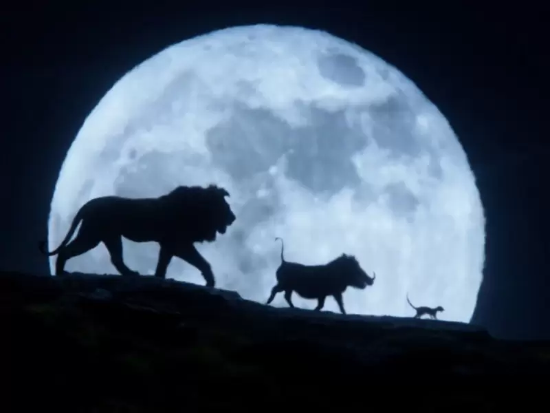 Escena de 'El Rey león' live action Escena de 'El Rey león' live action