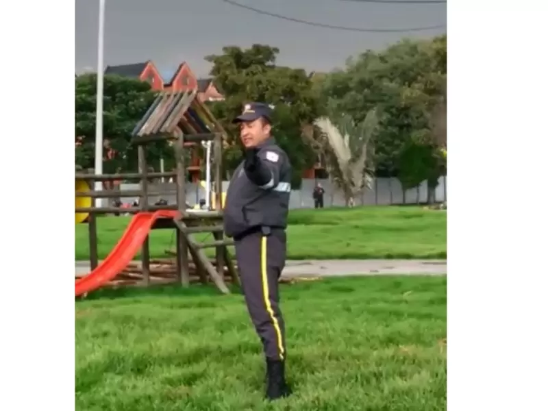 Vigilante Vigilante