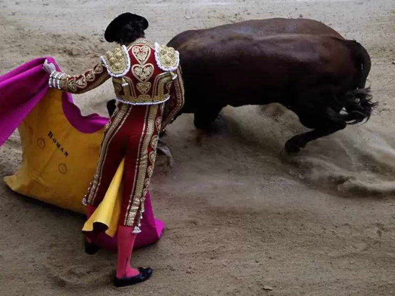 Corridas de toros