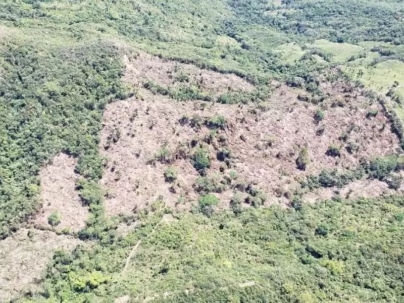 Procurador Fernando Carrillo pidió acciones urgentes para la protección de la Amazonía