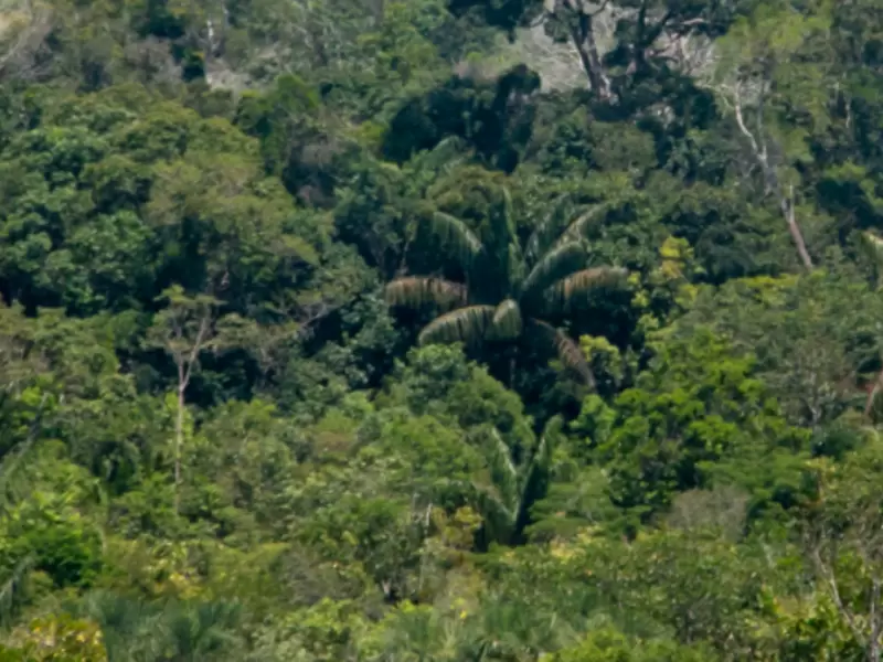 Amazonía Colombiana
