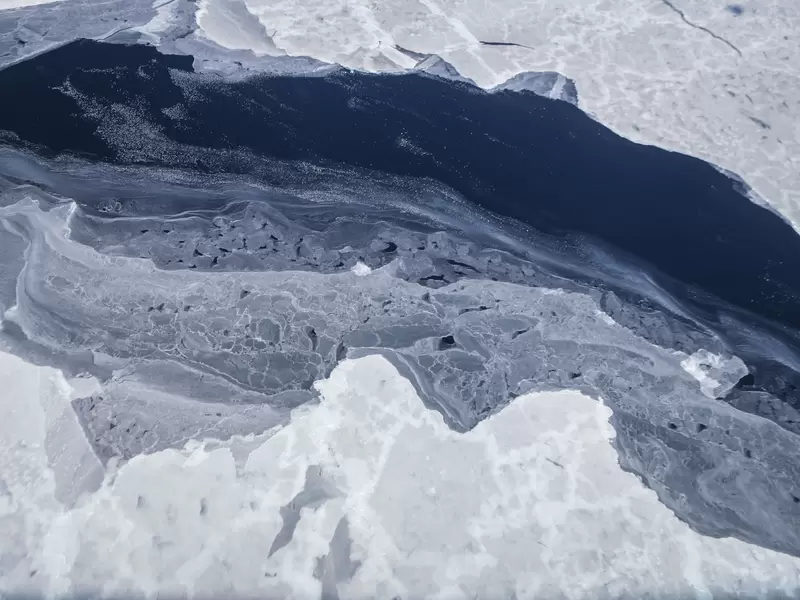 Cambio climático
