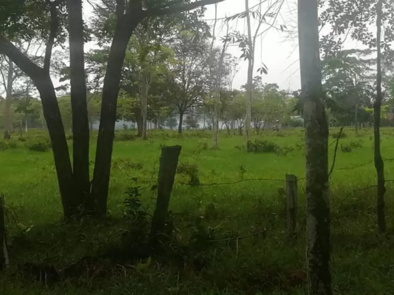 Ejercito y Policía recibió ataque con explosivos en Fortul Arauca