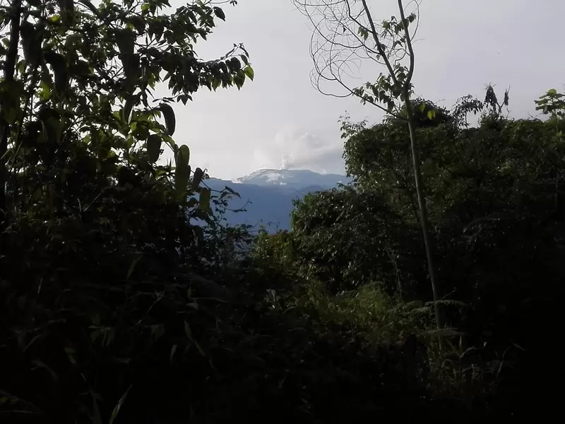 Volcán Nevado del Ruíz Ciudadanos han podido apreciar el Volcán Nevado del Ruíz, dadas las condiciones del clima que son favorables para esto.