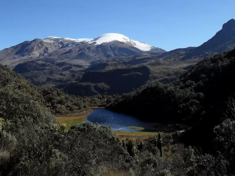 Campesinos de la zona