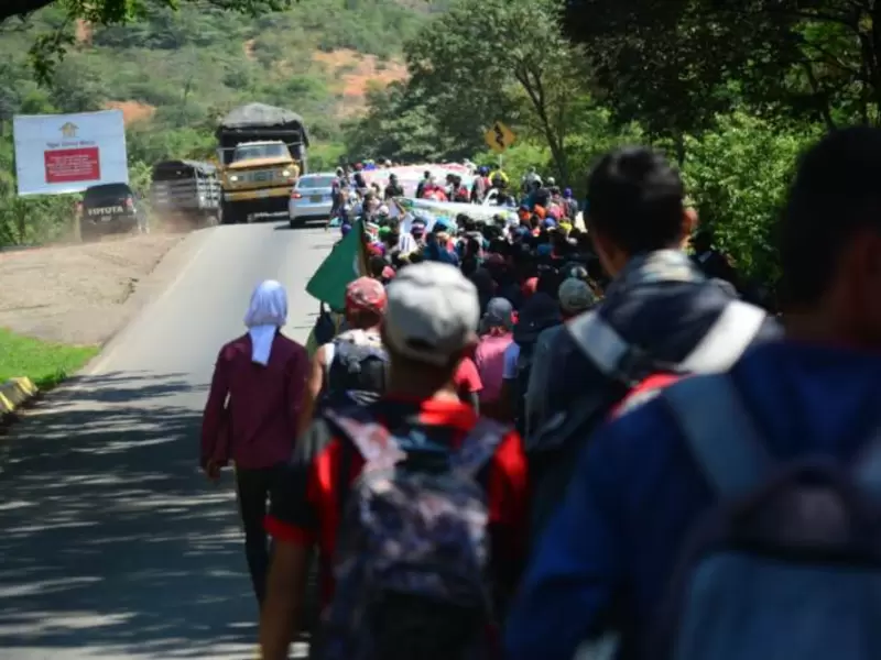 Protesta Campesina Catatumbo